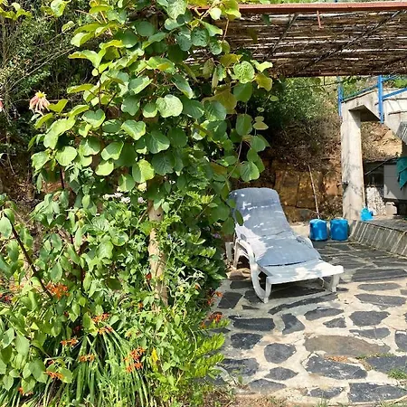 Guest Room B&B Agro-turismo Quinta da Fonte Figueiro Dos Vinhos Extérieur photo