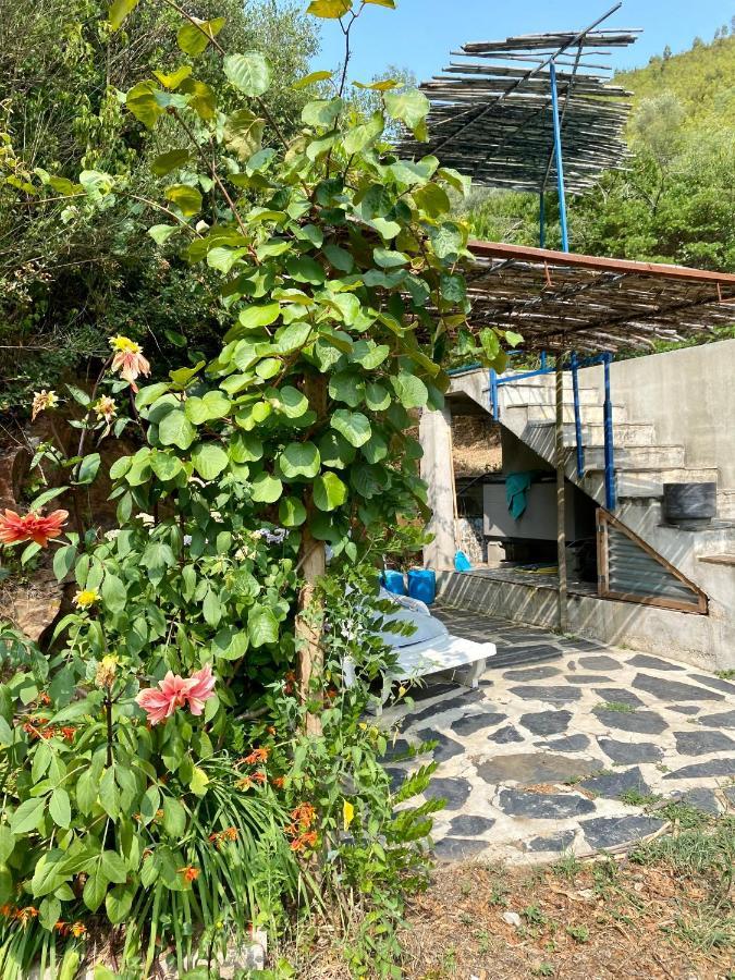 Frühstückspension Guest Agro-turismo Quinta Da Fonte Figueiro Dos Vinhos